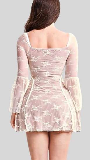 Sheer Lace A-Line Mini Dress back